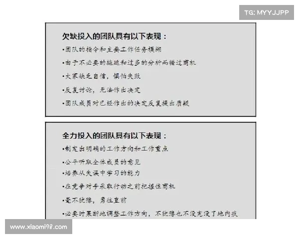 全方位剖析解说团队的协作模式与成功背后的核心策略